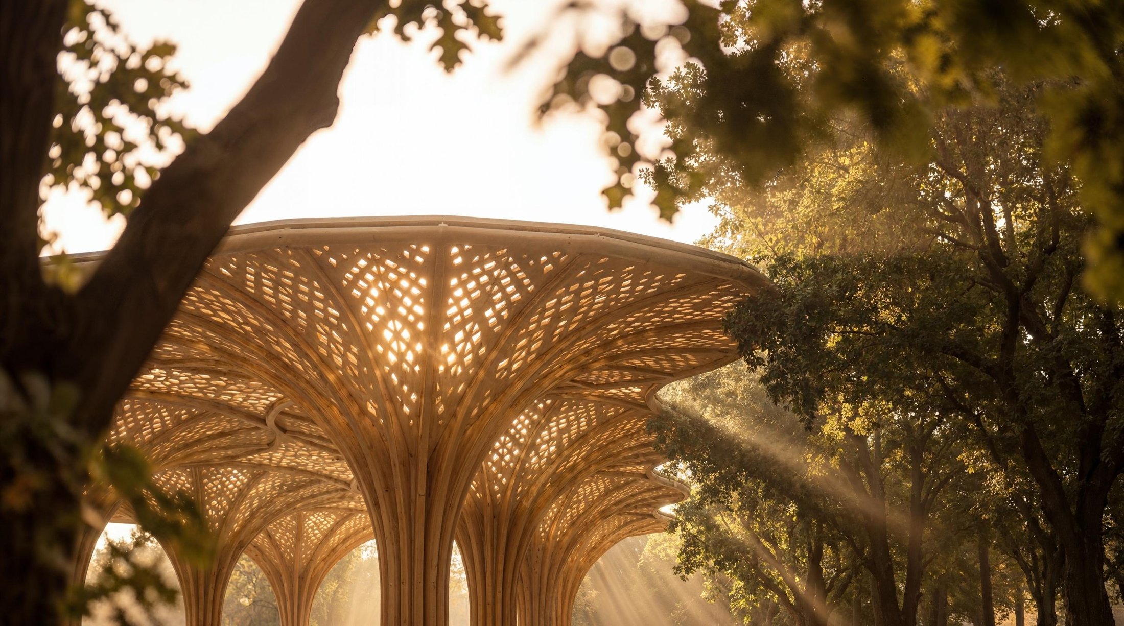 The Canopies at Yas Point — sculpted timber-lattice canopy structure with dappled sunlight
