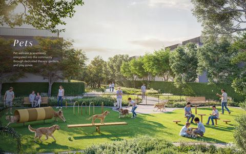 Pet wellness garden
